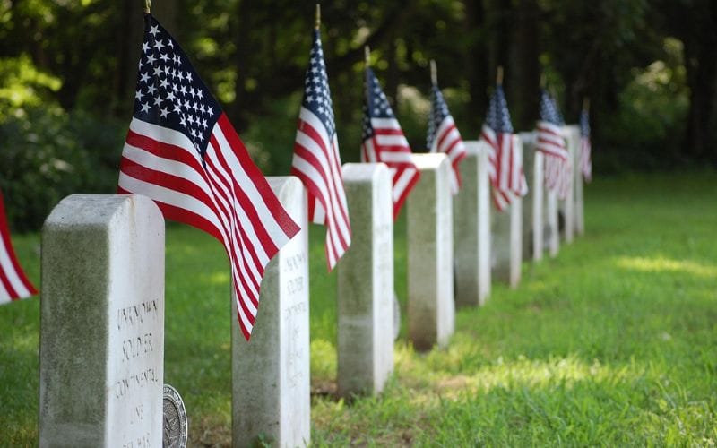 In Honor of National Veterans Small Business Week and Veterans Day - November 2025